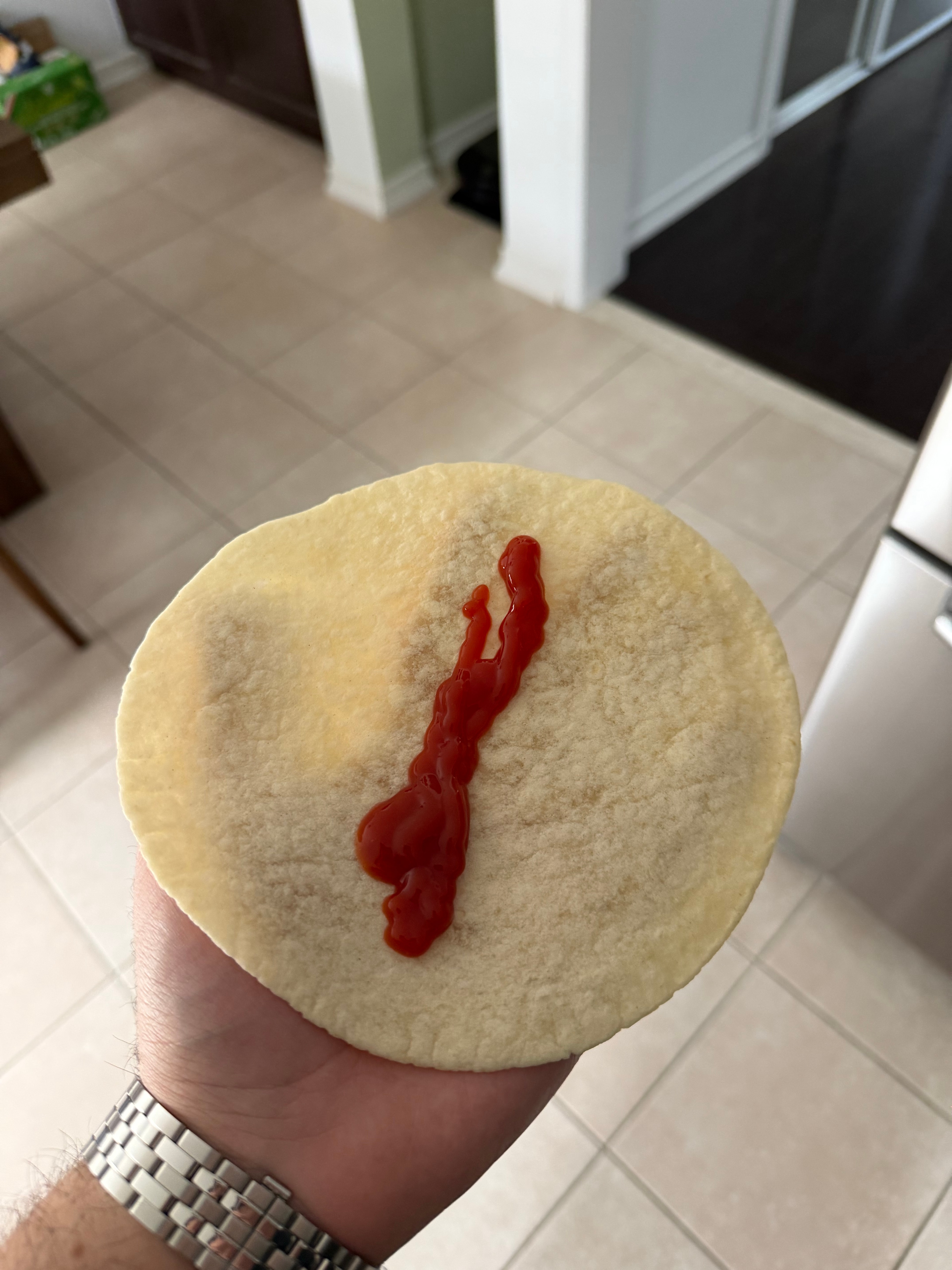 A plain tortilla with ketchup, held up as a deliberately questionable meal.
